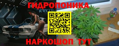 сатива Новокубанск