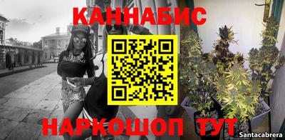стаф Новодвинск