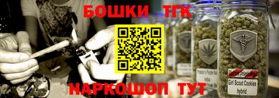 стаф Новодвинск