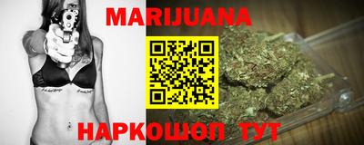 сатива Новокубанск