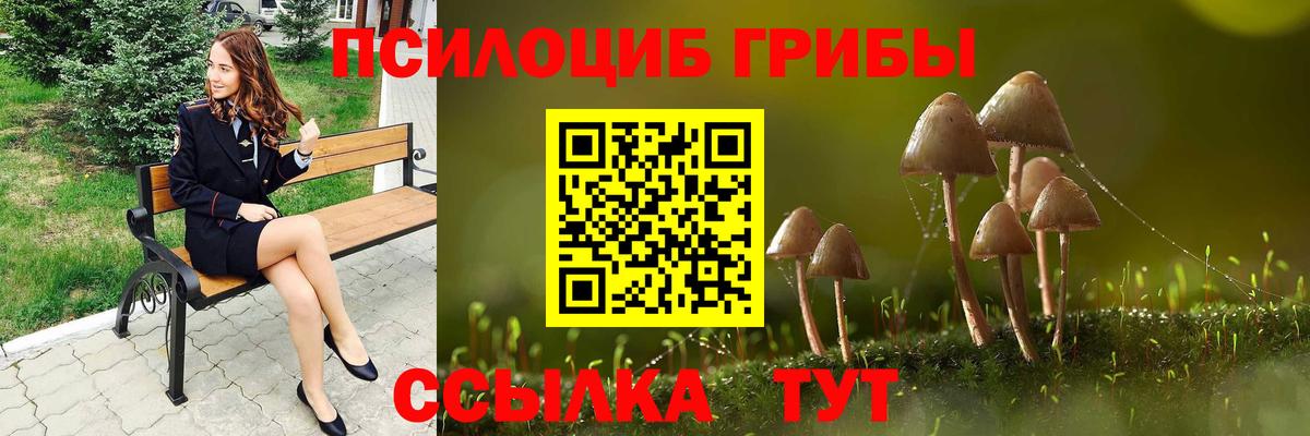 Галлюциногенные грибы Magic Shrooms Свободный