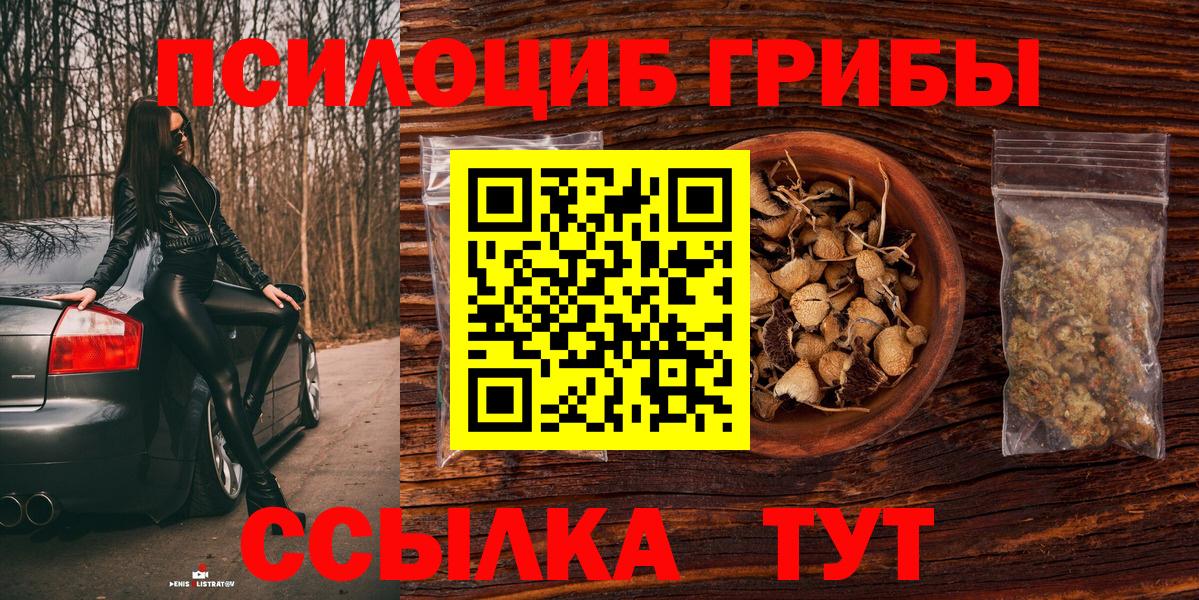 Галлюциногенные грибы MAGIC MUSHROOMS  Вход с VPN  Свободный 
